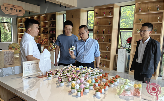 开展1+N资源整合丨省尊龙凯时最新平台集团考察组赴简阳市文旅项目考察调研